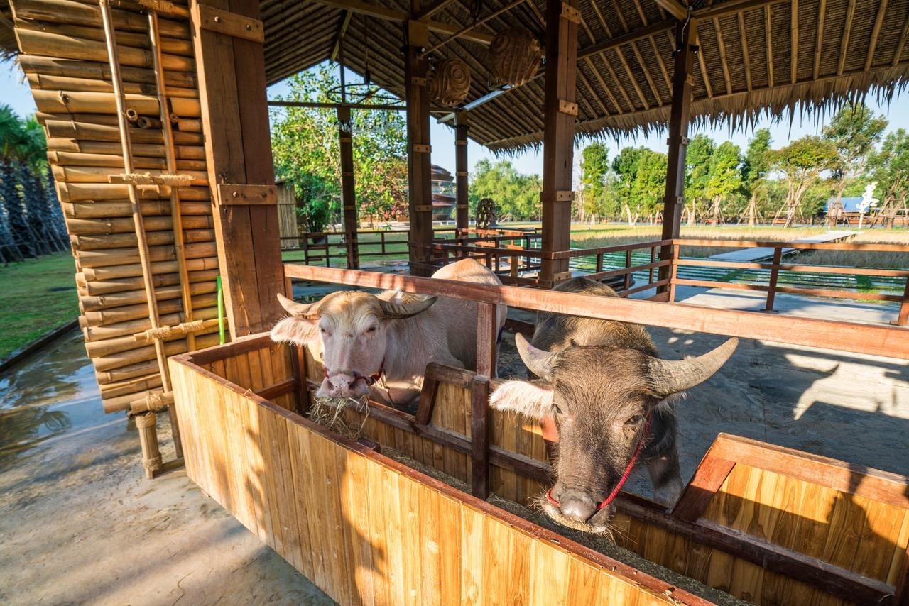 The Buffalo Amphawa Hotel Samut Songkhram Exterior photo